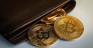 Wallets de criptomonedas: tipos y cuál elegir